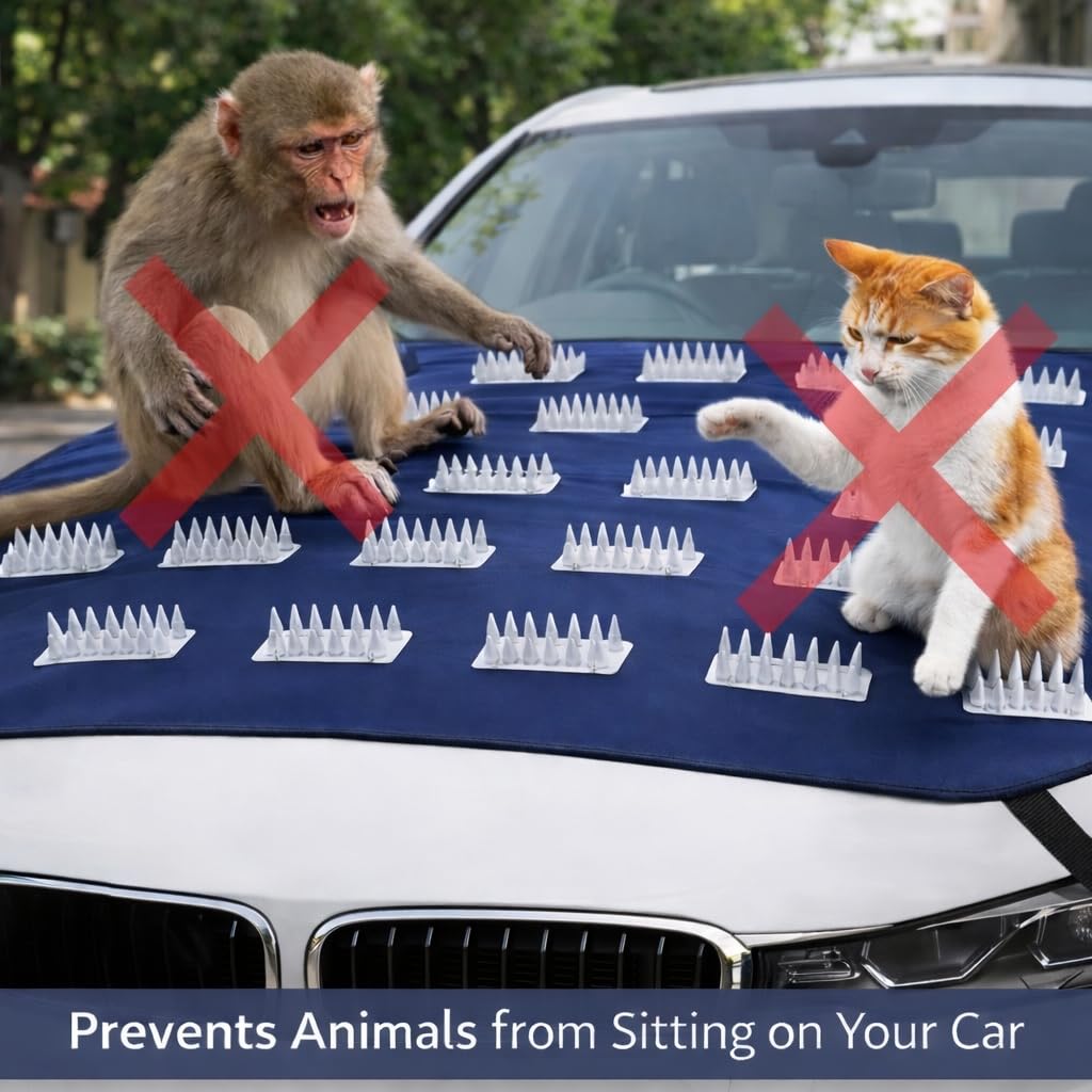 Anti-Dog & Monkey Spike Universal Design For Front & Roof