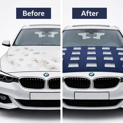 Anti-Dog & Monkey Spike Universal Design For Front & Roof